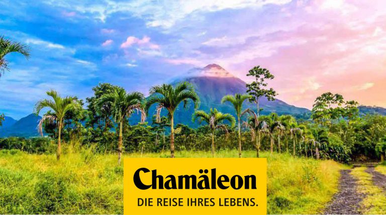 chameleon travel germany