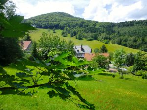 Fruhsommer-an-der-Lausche-Zittauer-Gebirge