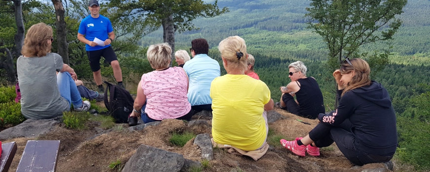 Coaching & Teambildung