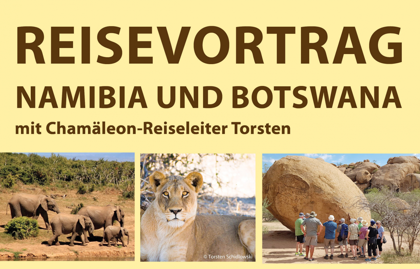 Vortrag-ScharfesGelb_Namibia KM Reisen und Chamäleon