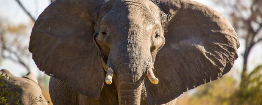 Namibia – Wunderwelten-Reise Magic Moments