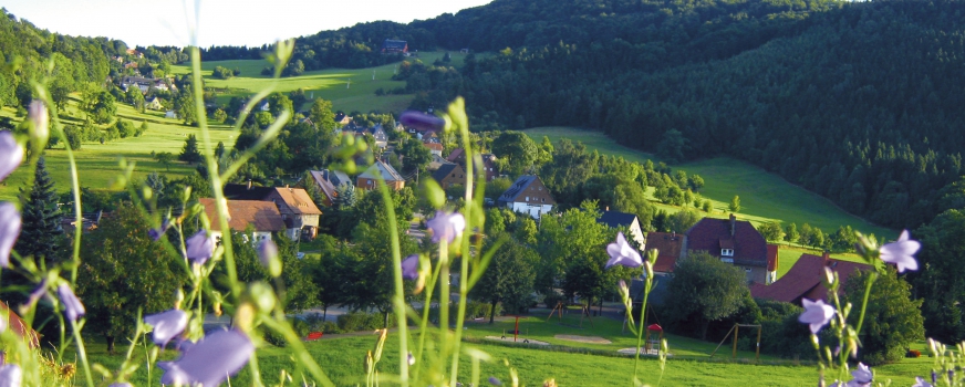 Coaching in der Natur
