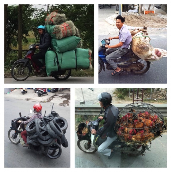Vietnam Erlebnisrundreise mit KM Reisen